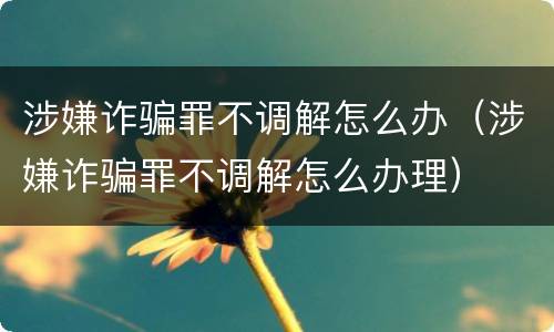 涉嫌诈骗罪不调解怎么办（涉嫌诈骗罪不调解怎么办理）