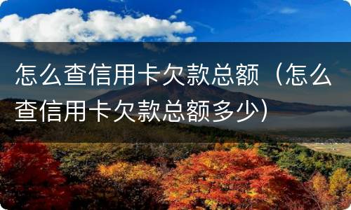 怎么查信用卡欠款总额（怎么查信用卡欠款总额多少）