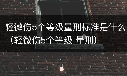 轻微伤5个等级量刑标准是什么（轻微伤5个等级 量刑）