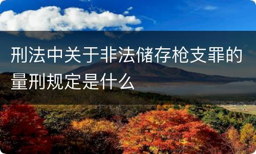 刑法中关于非法储存枪支罪的量刑规定是什么