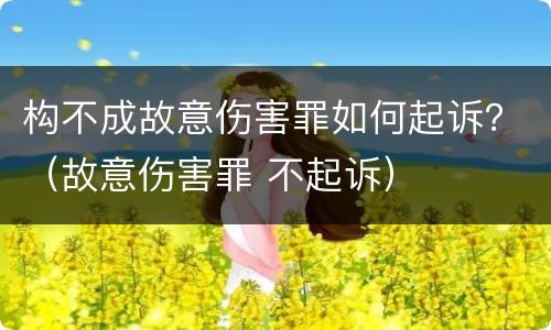 构不成故意伤害罪如何起诉？（故意伤害罪 不起诉）