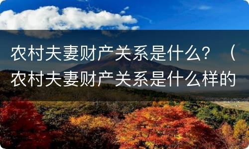 农村夫妻财产关系是什么？（农村夫妻财产关系是什么样的）