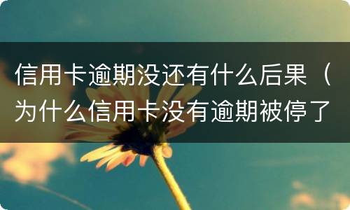 信用卡逾期没还有什么后果（为什么信用卡没有逾期被停了?）