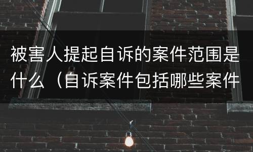被害人提起自诉的案件范围是什么（自诉案件包括哪些案件?）