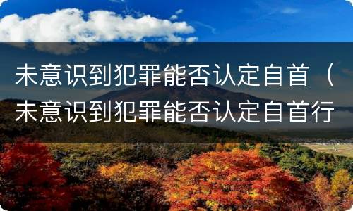 未意识到犯罪能否认定自首（未意识到犯罪能否认定自首行为）