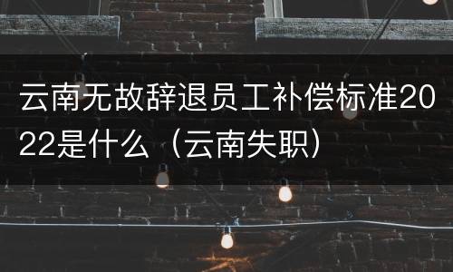云南无故辞退员工补偿标准2022是什么（云南失职）