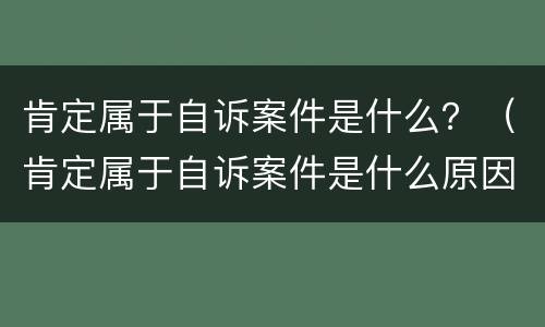 肯定属于自诉案件是什么？（肯定属于自诉案件是什么原因）