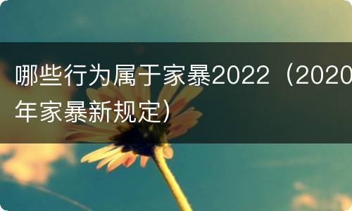 哪些行为属于家暴2022（2020年家暴新规定）
