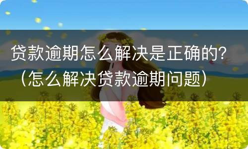 贷款逾期怎么解决是正确的？（怎么解决贷款逾期问题）