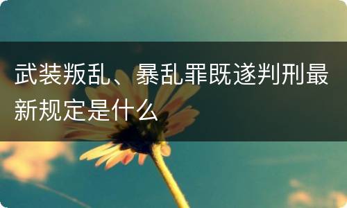 武装叛乱、暴乱罪既遂判刑最新规定是什么