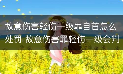 故意伤害轻伤一级罪自首怎么处罚 故意伤害罪轻伤一级会判多久