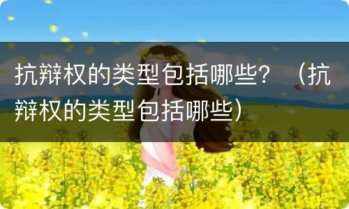 抗辩权的类型包括哪些？（抗辩权的类型包括哪些）