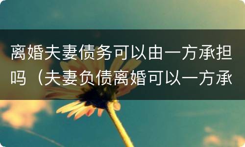 离婚夫妻债务可以由一方承担吗（夫妻负债离婚可以一方承担吗）