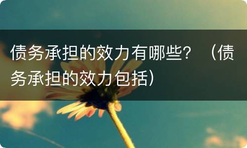 债务承担的效力有哪些？（债务承担的效力包括）