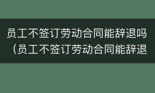 员工不签订劳动合同能辞退吗（员工不签订劳动合同能辞退吗）