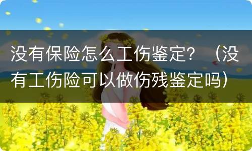 没有保险怎么工伤鉴定？（没有工伤险可以做伤残鉴定吗）