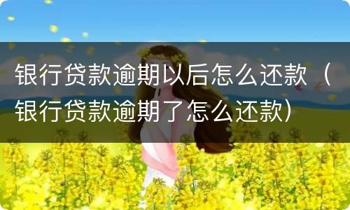银行贷款逾期以后怎么还款（银行贷款逾期了怎么还款）