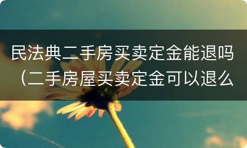 民法典二手房买卖定金能退吗（二手房屋买卖定金可以退么）