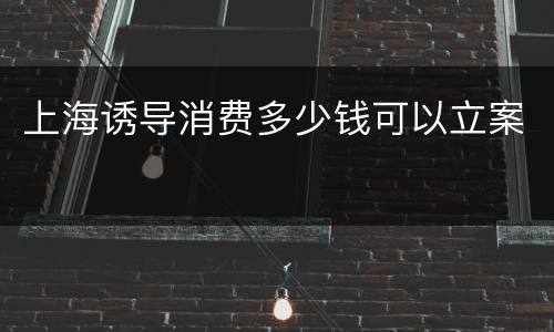 上海诱导消费多少钱可以立案