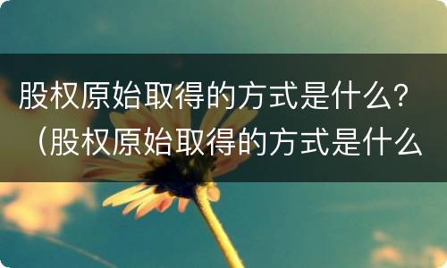 股权原始取得的方式是什么？（股权原始取得的方式是什么样的）