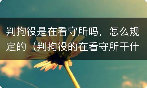 判拘役是在看守所吗，怎么规定的（判拘役的在看守所干什么）