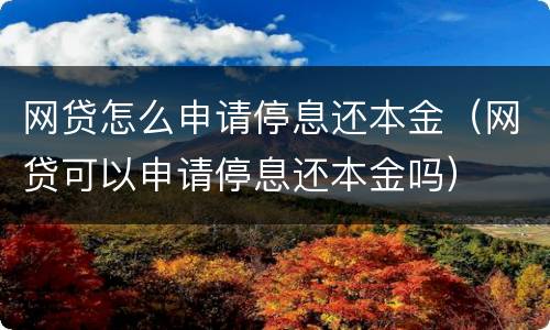 网贷怎么申请停息还本金（网贷可以申请停息还本金吗）