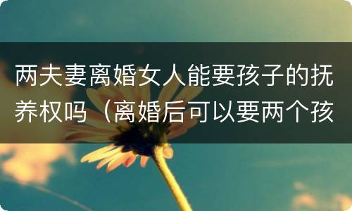 两夫妻离婚女人能要孩子的抚养权吗（离婚后可以要两个孩子的抚养权吗）
