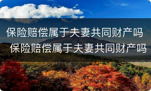 保险赔偿属于夫妻共同财产吗 保险赔偿属于夫妻共同财产吗怎么算