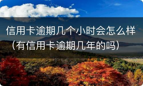 信用卡逾期几个小时会怎么样（有信用卡逾期几年的吗）