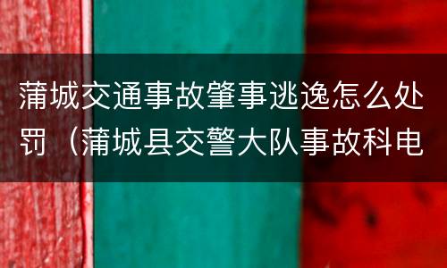 蒲城交通事故肇事逃逸怎么处罚（蒲城县交警大队事故科电话）