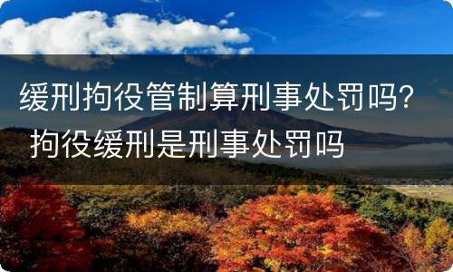 缓刑拘役管制算刑事处罚吗？ 拘役缓刑是刑事处罚吗