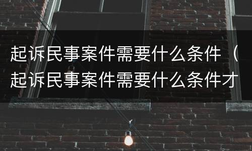 起诉民事案件需要什么条件（起诉民事案件需要什么条件才能立案）