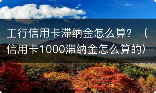 工行信用卡滞纳金怎么算？（信用卡1000滞纳金怎么算的）