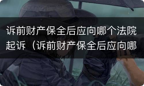 诉前财产保全后应向哪个法院起诉（诉前财产保全后应向哪个法院起诉呢）
