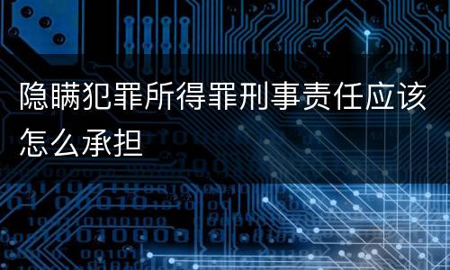 隐瞒犯罪所得罪刑事责任应该怎么承担
