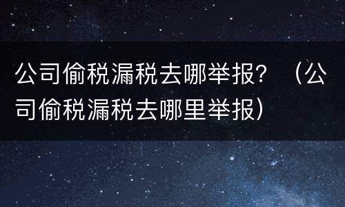 公司偷税漏税去哪举报？（公司偷税漏税去哪里举报）