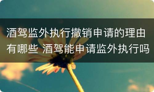酒驾监外执行撤销申请的理由有哪些 酒驾能申请监外执行吗