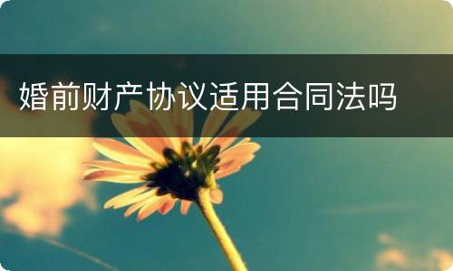婚前财产协议适用合同法吗