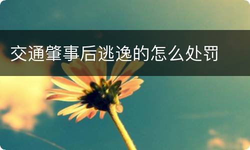 交通肇事后逃逸的怎么处罚