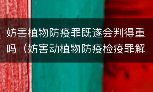 妨害植物防疫罪既遂会判得重吗（妨害动植物防疫检疫罪解读）