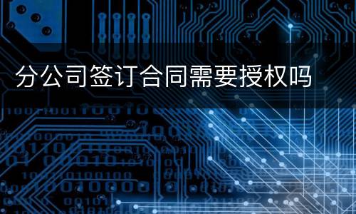 分公司签订合同需要授权吗