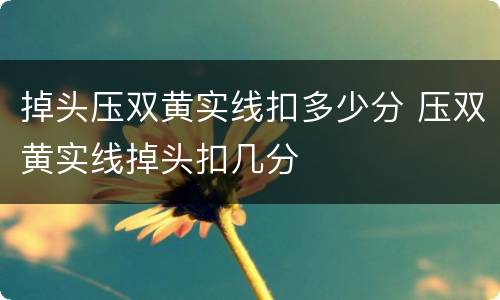 掉头压双黄实线扣多少分 压双黄实线掉头扣几分