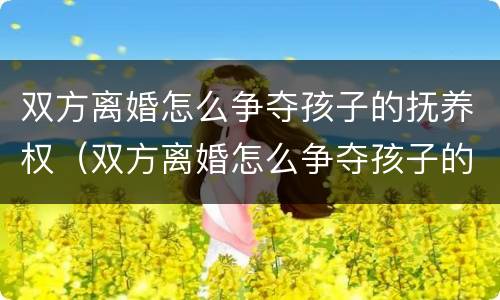 双方离婚怎么争夺孩子的抚养权（双方离婚怎么争夺孩子的抚养权和抚养权）