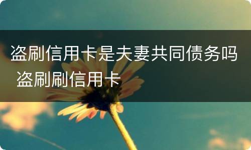 盗刷信用卡是夫妻共同债务吗 盗刷刷信用卡