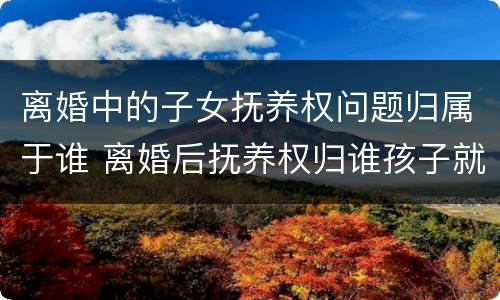 离婚中的子女抚养权问题归属于谁 离婚后抚养权归谁孩子就属于谁吗