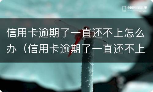 信用卡逾期了一直还不上怎么办（信用卡逾期了一直还不上怎么办呢）