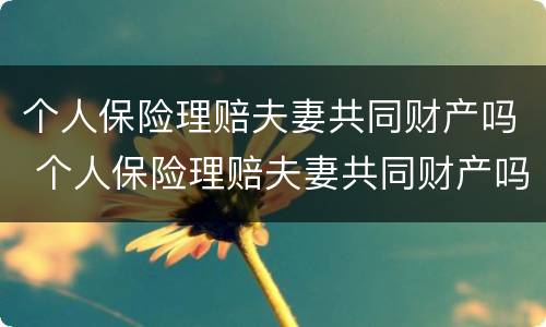 个人保险理赔夫妻共同财产吗 个人保险理赔夫妻共同财产吗怎么赔