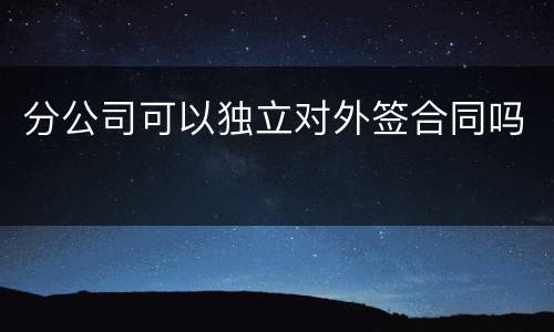 分公司可以独立对外签合同吗