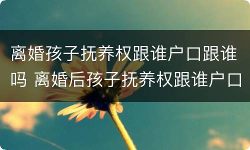 离婚孩子抚养权跟谁户口跟谁吗 离婚后孩子抚养权跟谁户口就跟谁吗