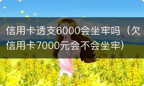 信用卡透支6000会坐牢吗（欠信用卡7000元会不会坐牢）